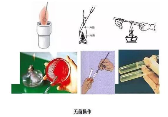無菌操作
